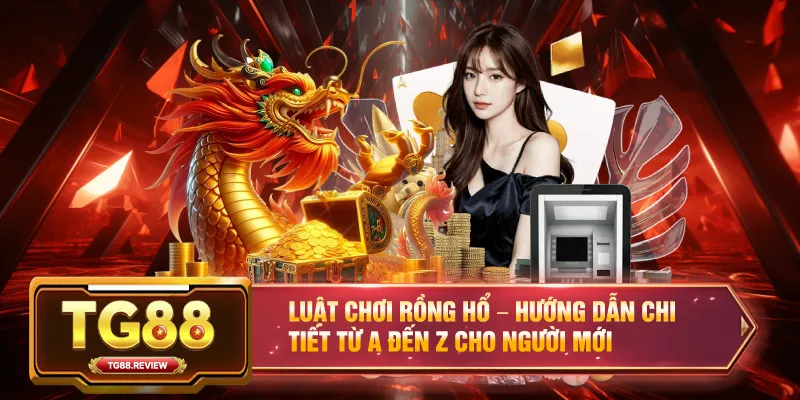 Luật Chơi Rồng Hổ – Hướng Dẫn Chi Tiết Từ A Đến Z Cho Người Mới