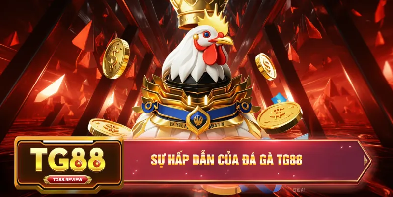 Sự Hấp Dẫn Của Đá Gà TG88